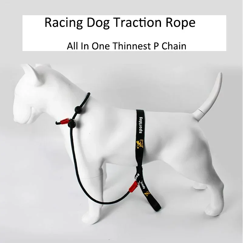 Training Dog Choking Rope Leash 2 in 1 Lead Collar 150cm P-Shaped Chain Slip Lead Control Leash  Small Large Competition Dogs