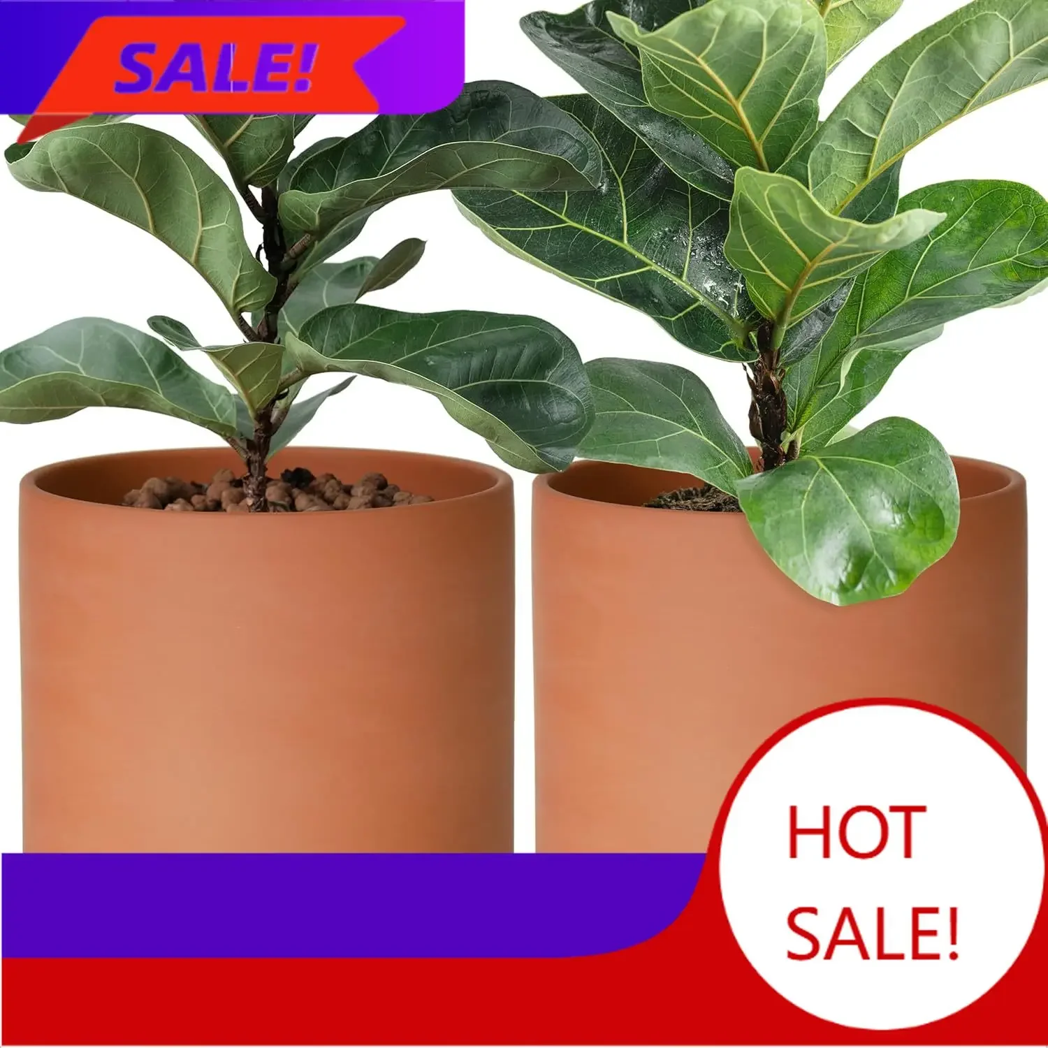 BestsellerBestsellerBestsellerBestsellerD'vine Dev Large 10 Inch Terracotta Plant Pot with Drainage Hole and Saucer, Round Cylin