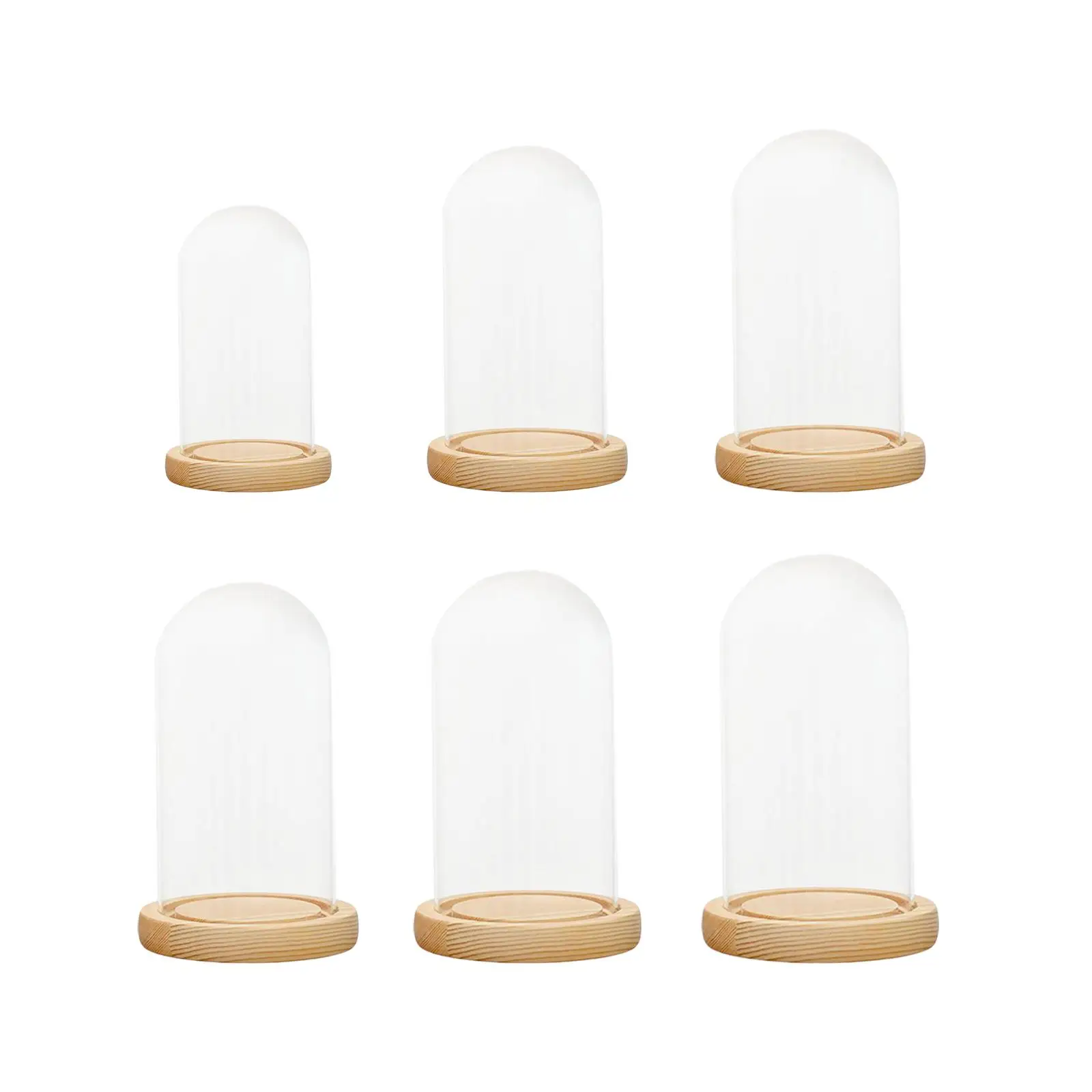Vitrina de campana con cúpula de vidrio, tarro con Base de madera, portátil, multiusos, para mostrar plantas artificiales, figuritas