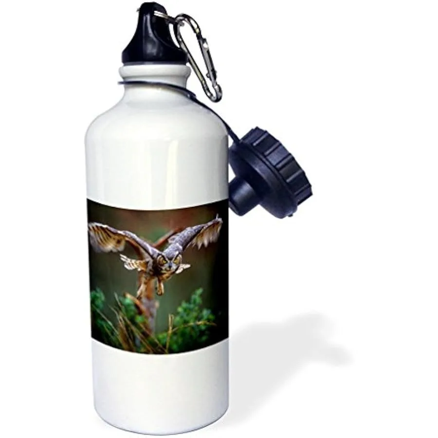 

3dRose "Georgia Pine Mtn Callaway Gardens. Barred owl US11 BJA0011 Jaynes Gallery" Sports Water Bottle 21 oz White