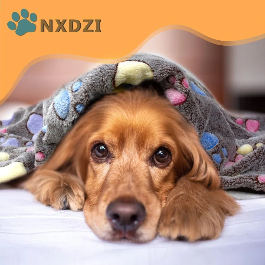 Washable Dog Blankets for Medium to Large Dogs 3 Pack Fuzzy Soft Pet Throw Cover for Kennel Crate Bed 41 x 31 Ideal for Indoor