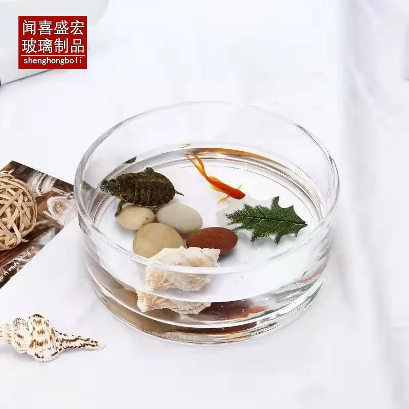 Creative Thickening Small Round Glass Flowerpot Hydroponic Glass Vase Glass Jar Transparent Vase Fleshy Potted Ornaments