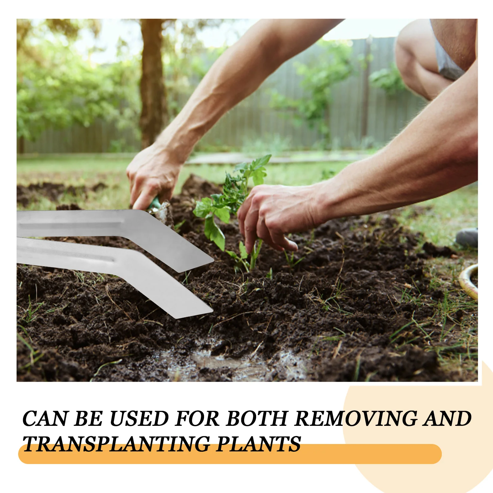 

Seedling Transplantation Forceps Plants Transplanting Tool Tong Remove Garden Tweezers Greenhouse Tongs Transplanter