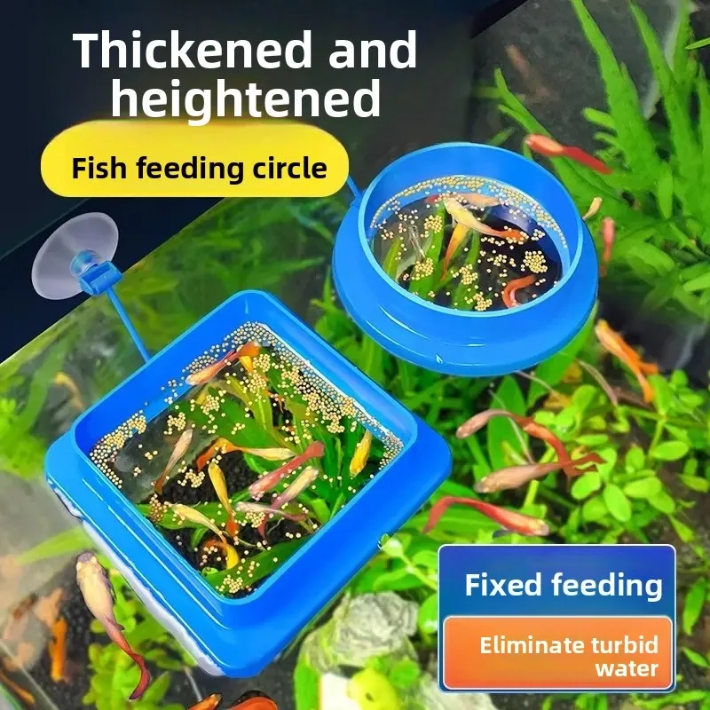 

Floating Fish Feeder Aquarium Anti Spill Food Ring Guppy Small Fish Feeding Circle Tank Food Dispenser Prevent Food Scatter