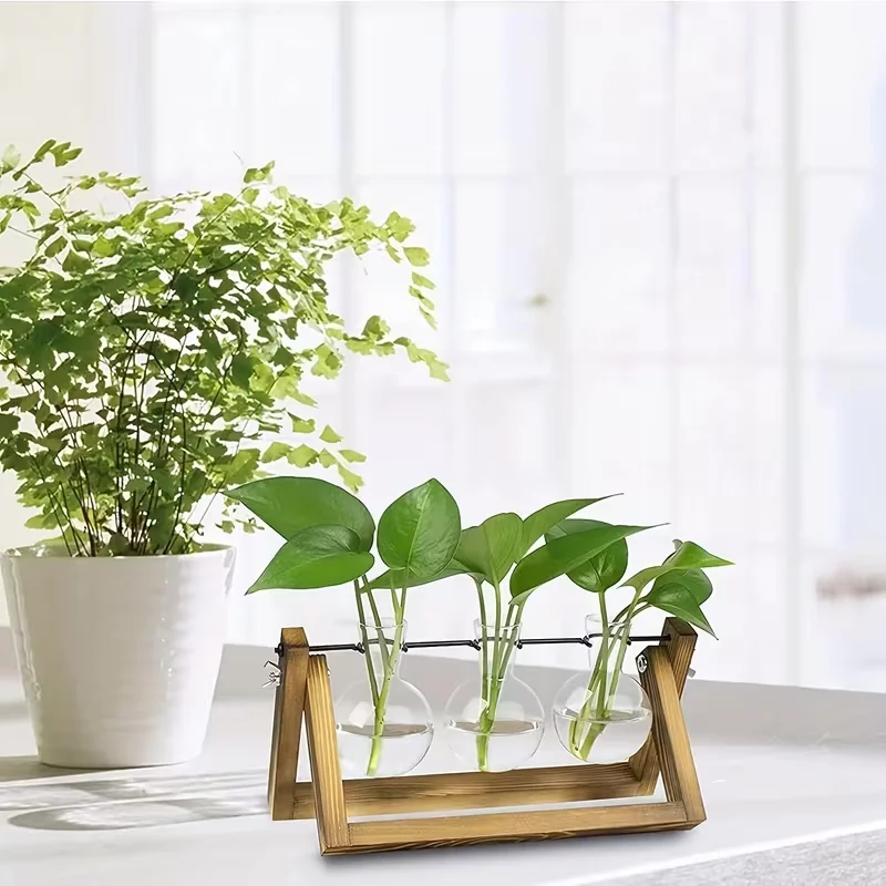 Wooden Stand Hydroponic Plant Terrarium Kit – Unique Gardening Gift for Women, Office and Home Decor, Perfect Birthday Present