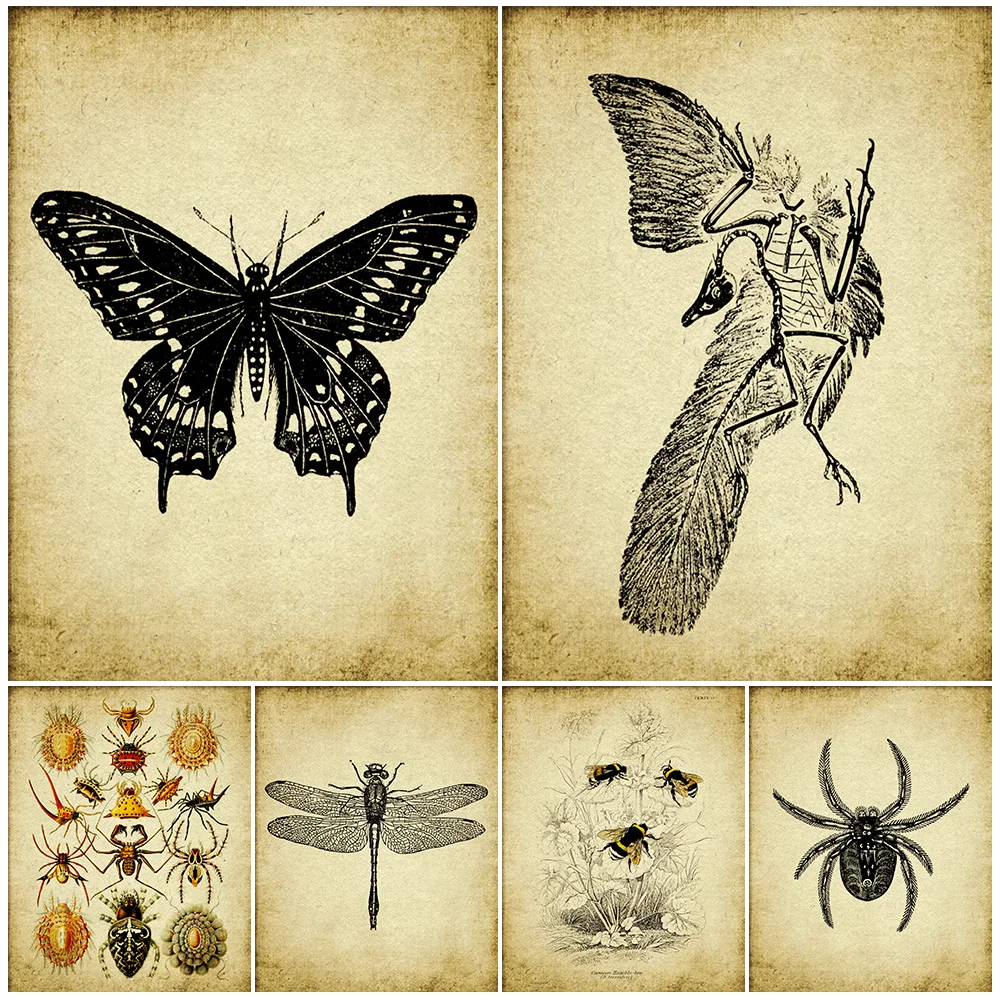 Mosquito,Butterfly,Spider,Bumble Bee,Dragonfly,Vintage Wall Art Canvas Painting,Insect Illustration Entomology Art Poster Print