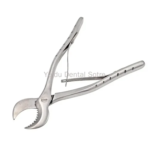 Imagen 1 del producto Tijeras para yeso Dental, herramientas de laboratorio para dentista, fórceps grandes de acero inoxidable, instrumento, Material de tijeras para yeso, 2 uds.