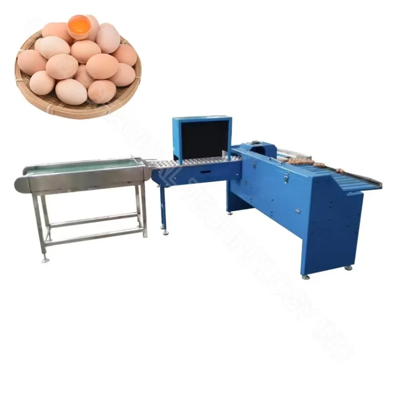 Customizable Machine to Sort Eggs Sorting and Egg Grading Machine Grader Egg Machine