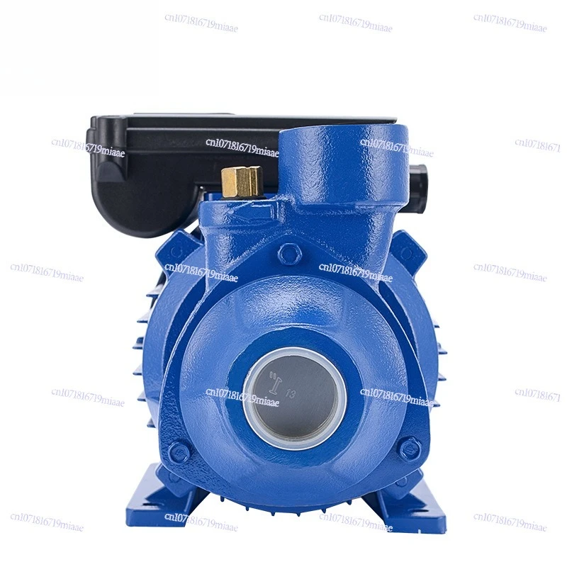 QB60 Small Clean Water Pump 110V 220V Household Clean Water Whirlpool Pump Household Pump