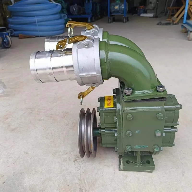 2 Inch 3 Inch 4 Inch 220v 380v No Clog Sewage Pump Manure Pump for Farm Waste Drainage Pond Sludge Cleaning