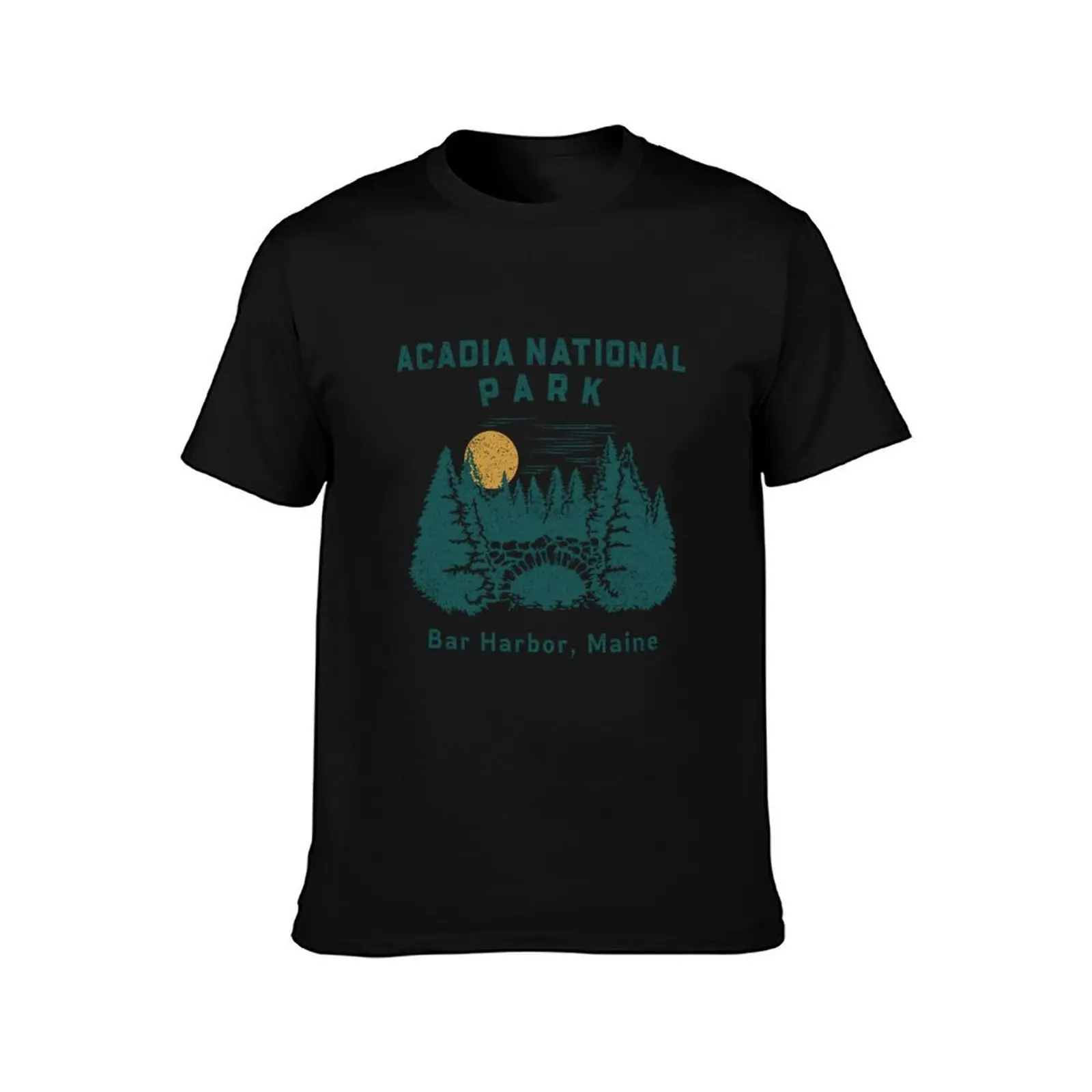 Acadia National Park T-Shirt t shirts designer T-Shirt