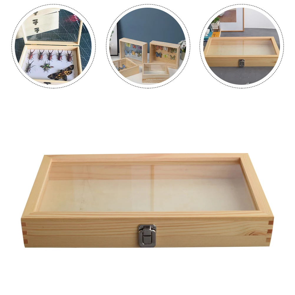 

Transparent Lid Wooden Specimen Display Box Dustproof Storage Case Vintage Butterfly Collector Display Case Shadow Box