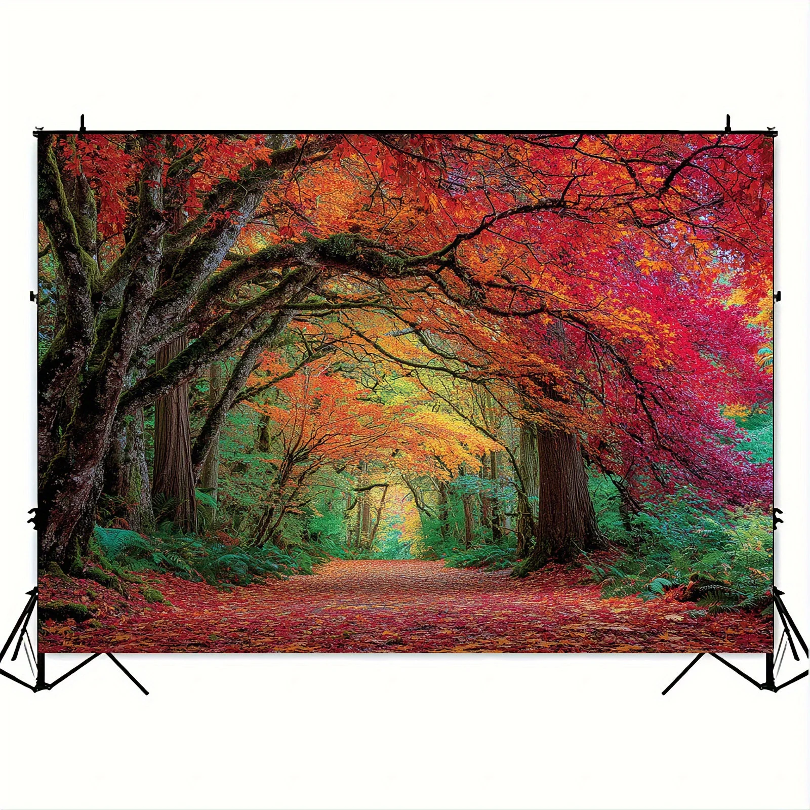 Autumn Forest Red Maple Trees Path Fall Leaves Wall Tapestry Nature Art Decor Home Interior Design Living Room Bedroom