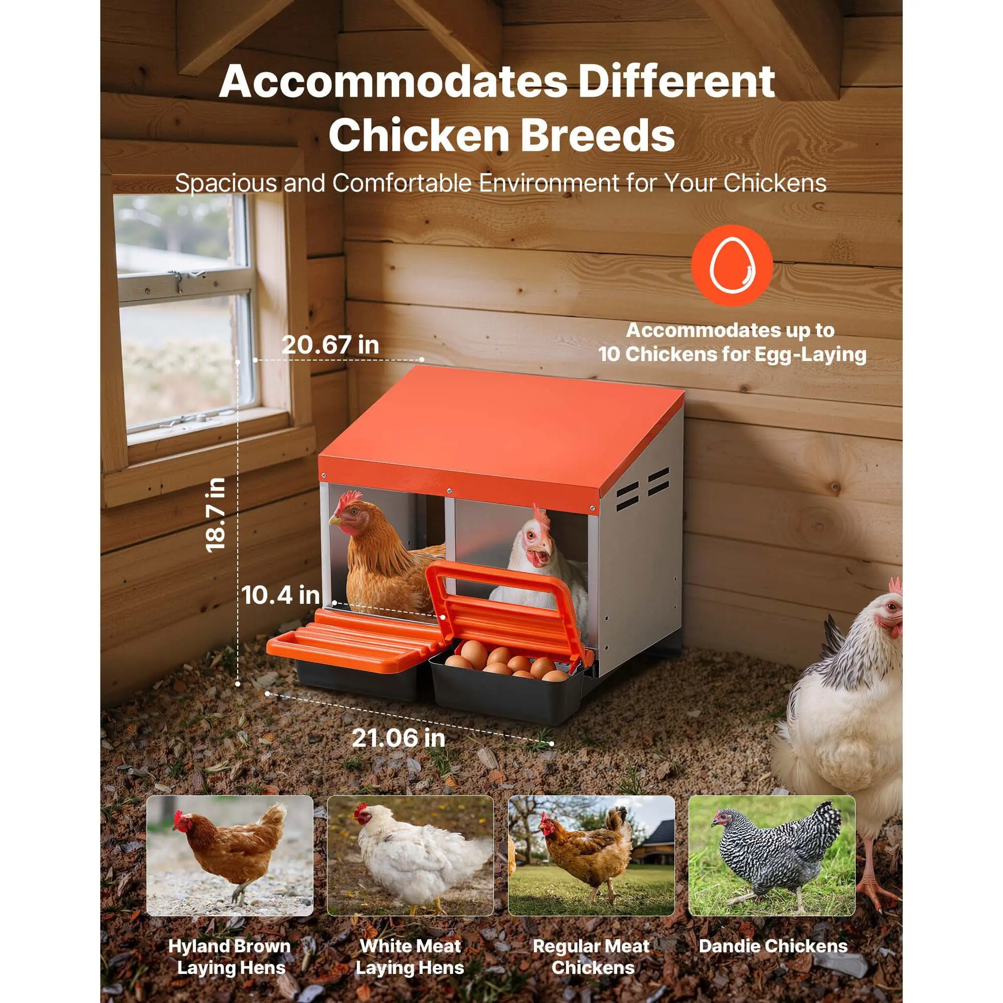 Chicken Nesting Boxes, 2 Compartments, Easy Egg Collection, Wall Mount, to Assemble, Galvanized Steel and High-Strength Plastic