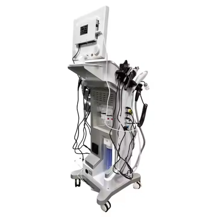 12 في 1 هيدرا صالون تجميل التطهير العميق الوجه علاج العين محلل الدائمة نوع أسعار الجملة لاستخدام صالون سبا