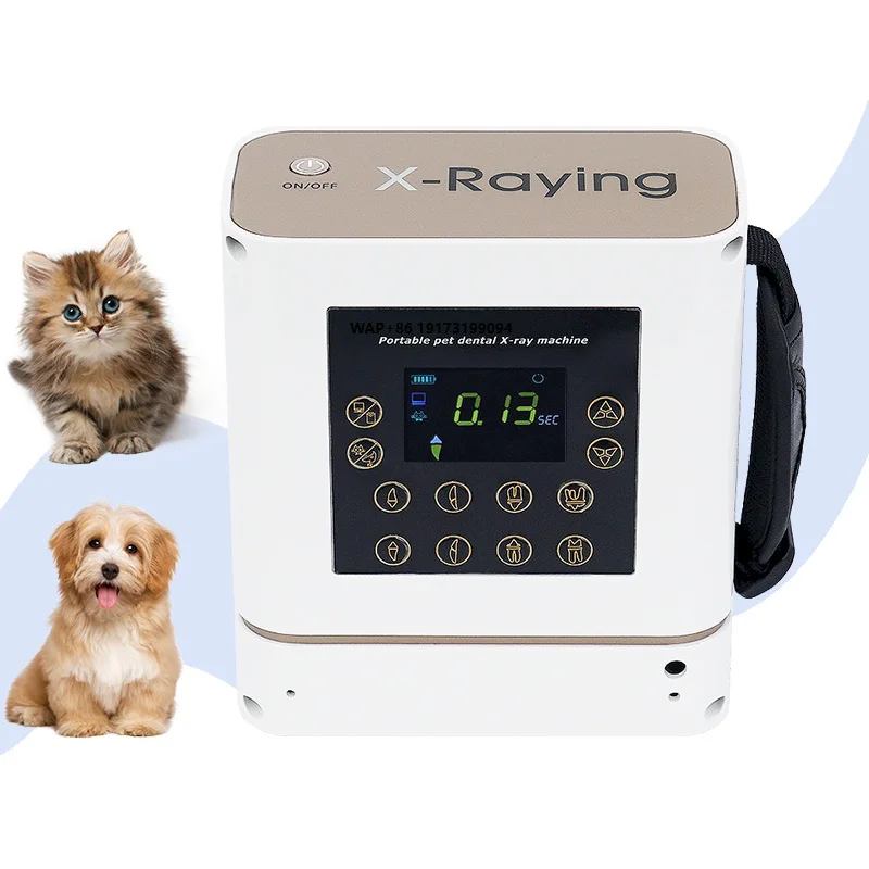 Portable Pet Digital X-Ray Machine High Frequency Medical Equipment Veterinary X-Ray Machine Radiography System