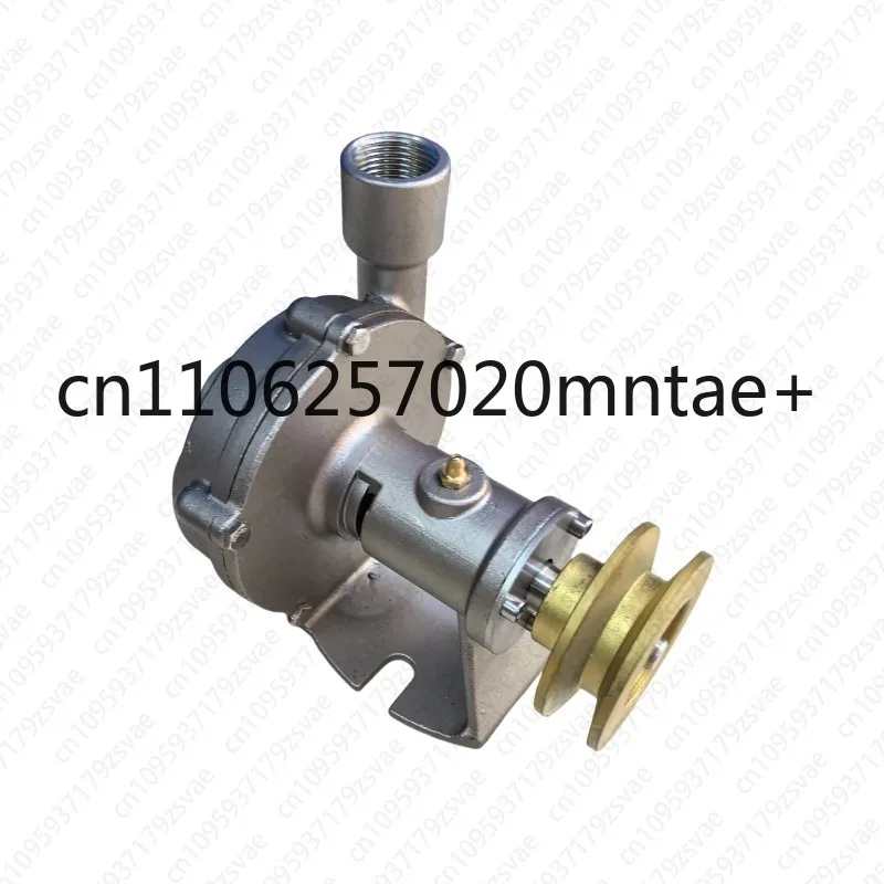 1 Inch Stainless Steel Centrifugal Marine Sea Water Pump, One Inch Pulley Water Pump Change Boat Diesel Engine Marine