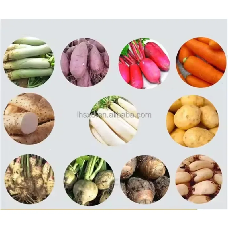 Commercial Automatic Fruit Cassava Peel Ginger Sweet Potato Quick Cleaning Carrot and Potato Peeling Machine