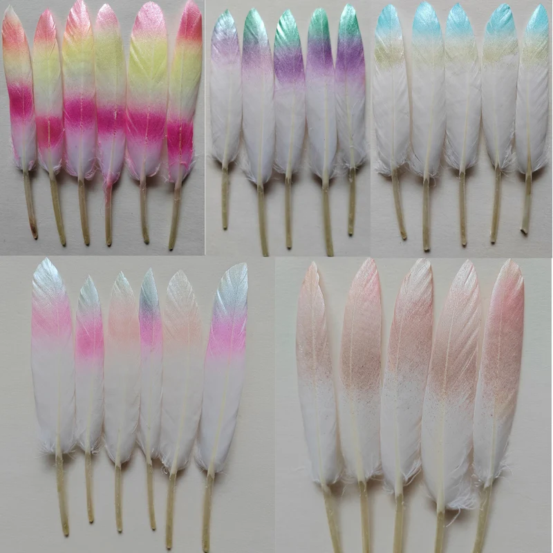 20 قطعة 10-15 سنتيمتر ريش أوزة مطلي ، ريش بطة بلونين ، زينة الزفاف ، بلوماس ، 5 ألوان متاحة