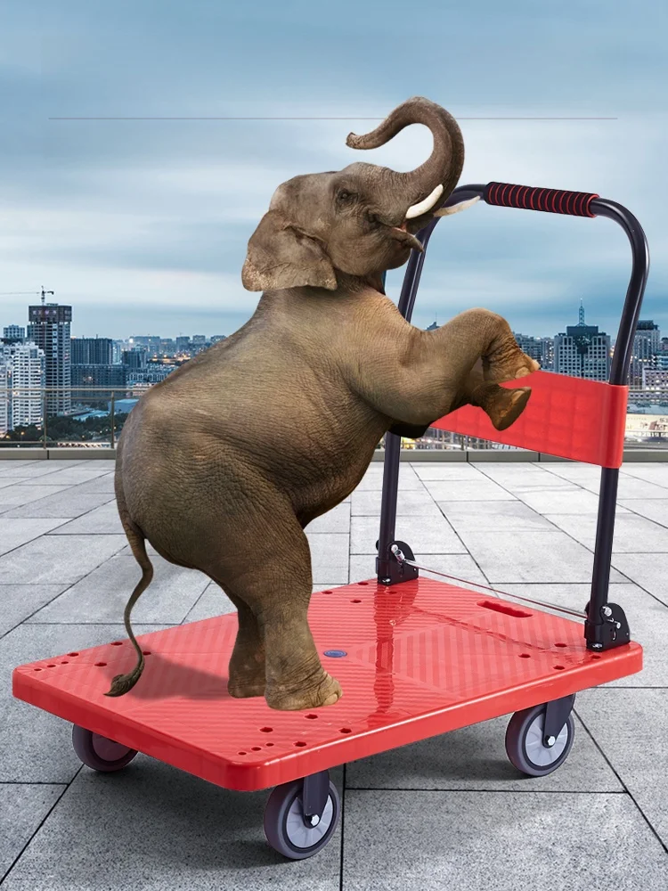 chariot-a-main-portable-en-nylon-a-plateau-plat-roues-universelles-a-etat-stable-materiau-en-fer-durable-et-leger-pour-un-deplacement-facile