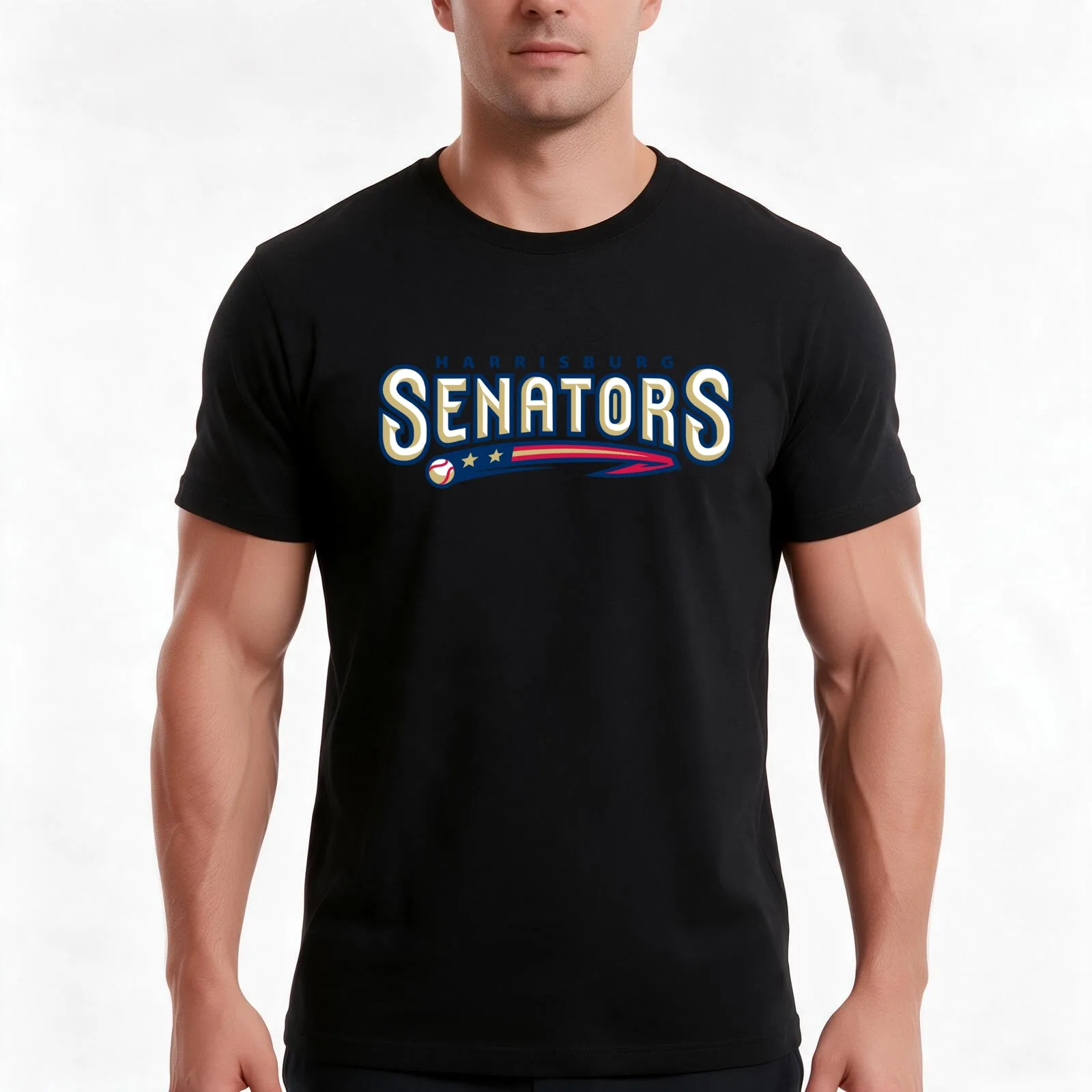 Harrisburg Senators Icons T-Shirt, Summer Casual Cotton Tee, Oversized Streetwear Tops, Vintage Graphic Print, Unisex Men Women