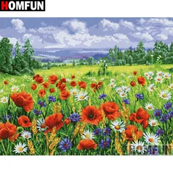 HOMFUN DIY Diamond Painting 