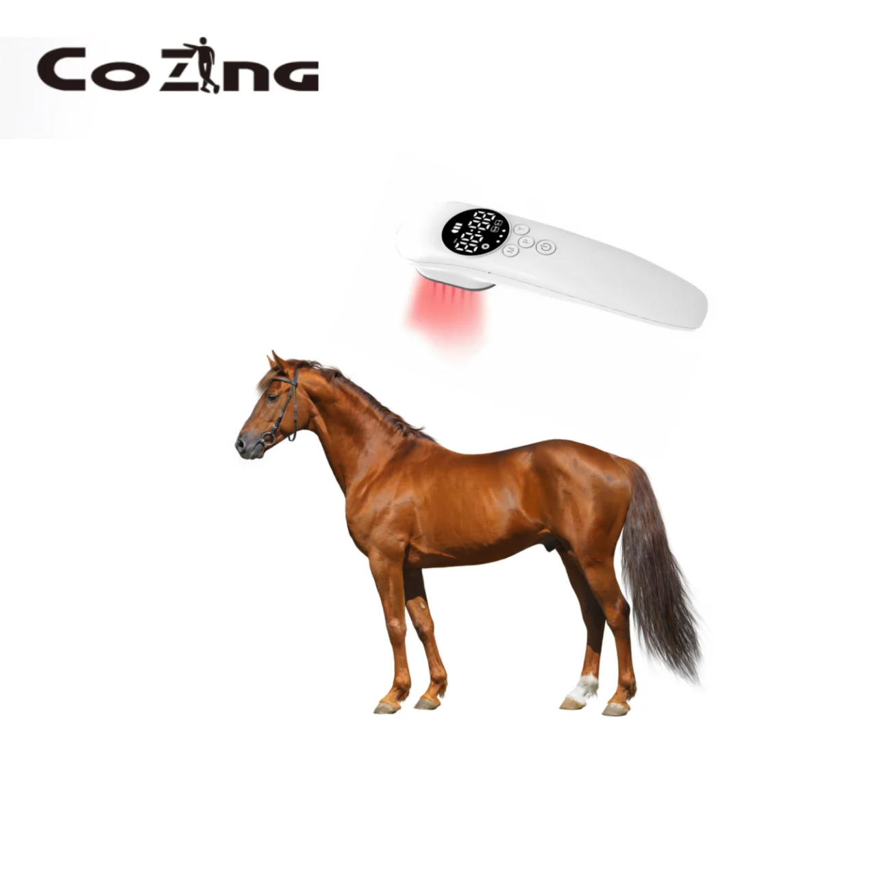 

Cold Laser Treatment of Horses 650nm 808nm Red Light Therapy Device for Arthritis Heel Spurs Pain Relief Horse