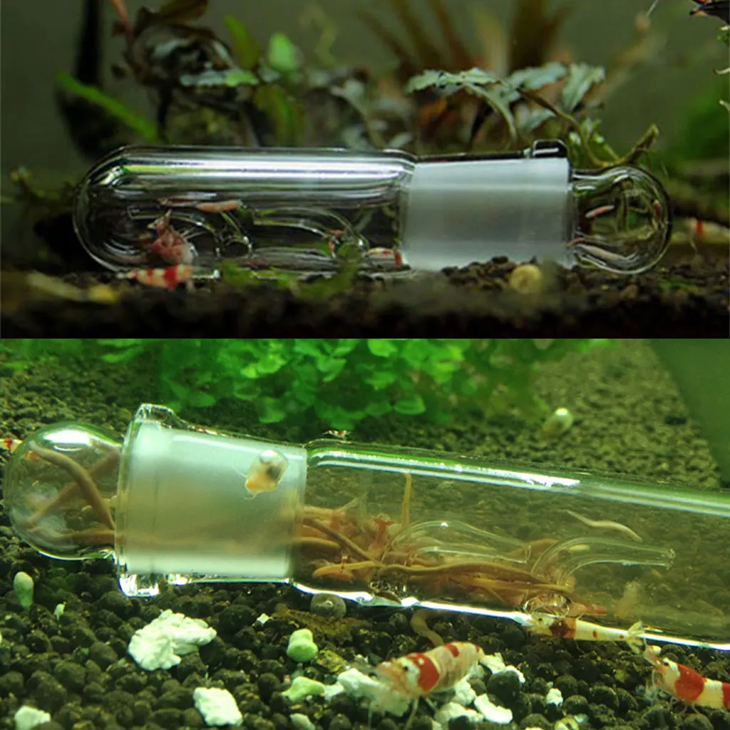 Planaria Trap Catch Trap Leeches Catcher Aquarium Supplies Clear Glass Planarian Traps 3 Holes for Cherry Shrimp for Tan