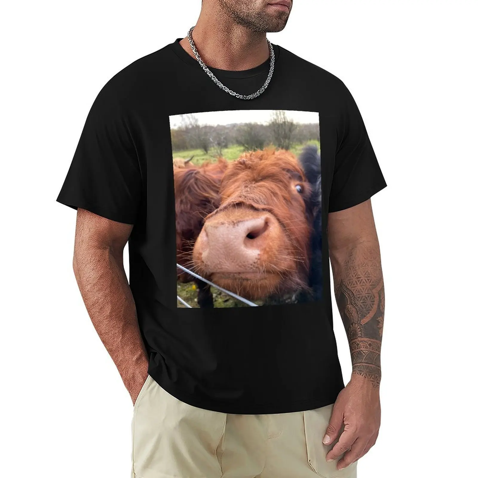 Highland coo T-Shirt oversized graphic tee plus size tops mens champion t shirts