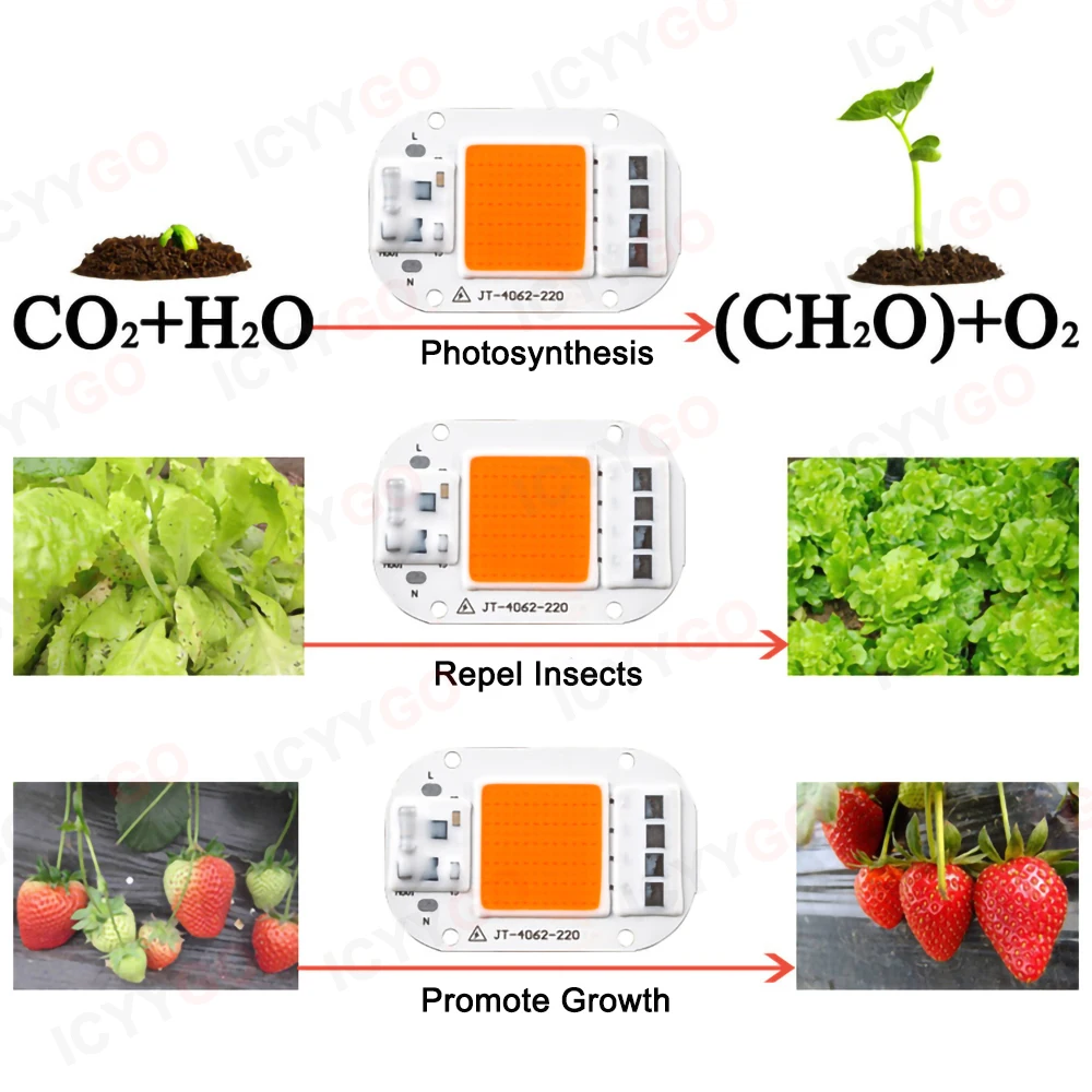 Puce de perle de lampe LED COB, IC intelligent, pas besoin de pilote, AC 110V, 220V, 20W, 30W, 50W, technologie DOB pour la croissance des plantes