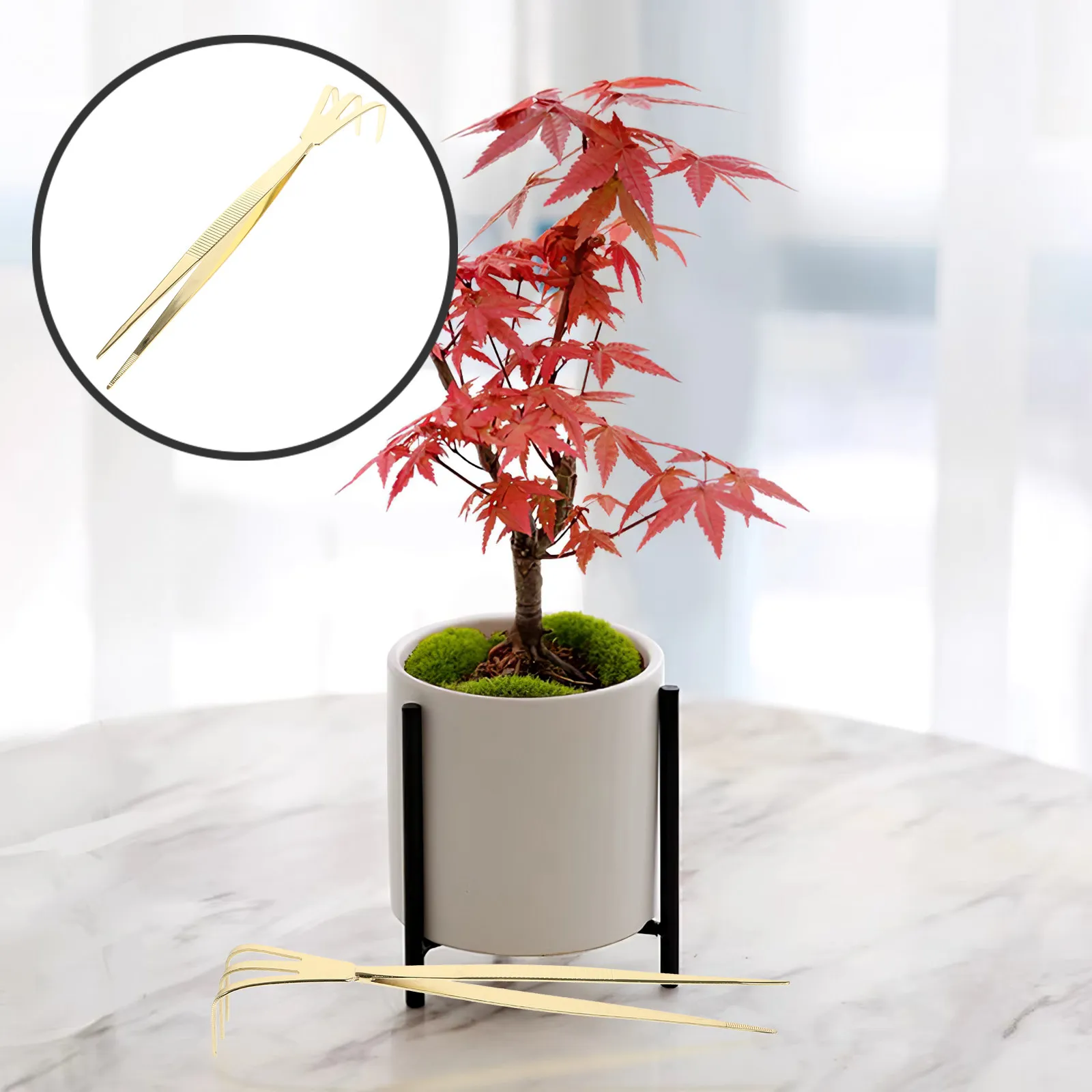 

Compact Stainless Steel Bonsai Tweezers 2-in-1 Rake Tool Flexible Planting Tweezers for Moss Removal Soil Loosening Garden Tools