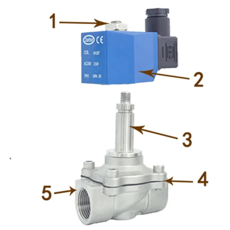 Imagem -04 - Válvula Solenóide de Normalmente Fechado 1mpa Nbr Diafragma Dn15 Dn20 Dn25 24vdc 220vac Dws21 Series Aço Inoxidável Ss304