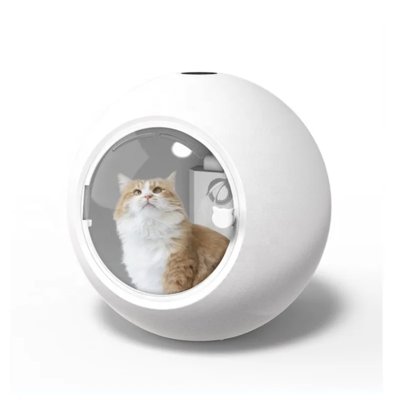 Upgrade Pet Dry Room High-Velocity Dryer Temp Speed Adjustable Safety Pet Blower Grooming Dryer Intelligent Dog Hair