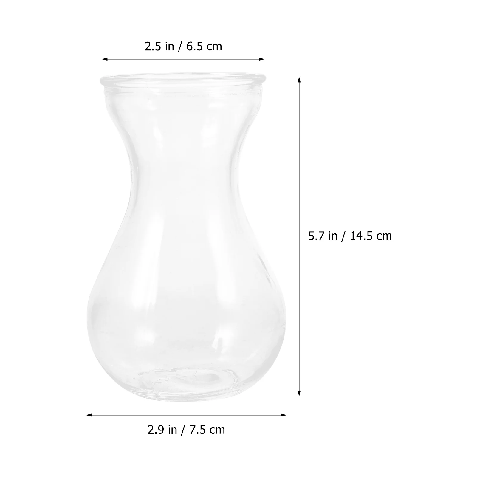 

2Pcs Glass Craft Vase Transparent Simple Style Hydroponic Plant Container Desktop Flower Arrangement Unique Vase
