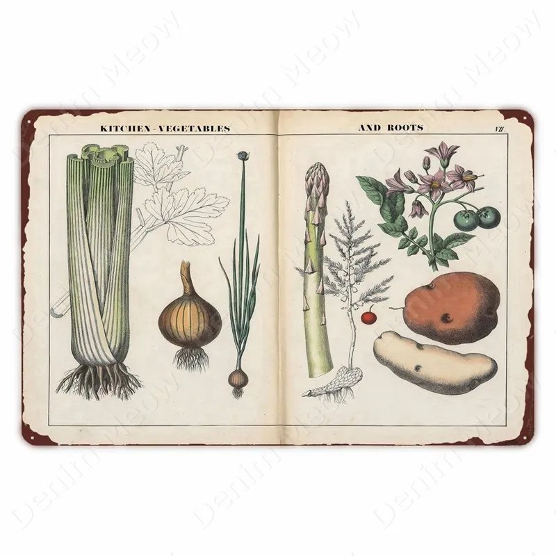 Gemüse Pflanzen Retro Poster Früchte Vintage Metall Zinn Zeichen Blumenkohl Wand Kunst Zeichen Garten Küche Farm Decor Blumen Platte – Detail 7