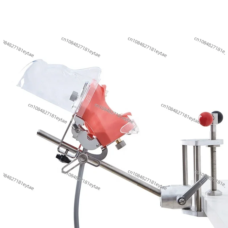 

Suitable for Nissin Manikin phantom head model with transparent plastic head, suitable for various dental training