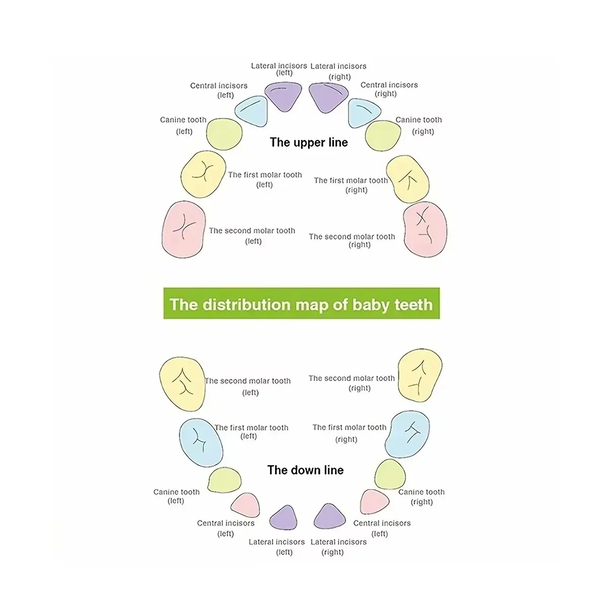 HOMFISH خشبية صندوق تخزين أسنان الطفل الاطفال الأسنان صندوق خشبي المنظم صندوق تذكاري الأطفال جمع تخزين الحبل السري #6