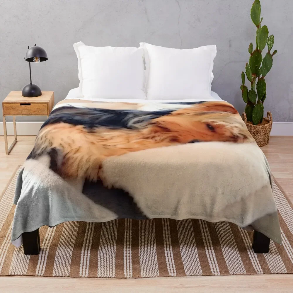 

Sleepy Little Yorkie Throw Blanket Stain Resistant Cozy Warm Blanket