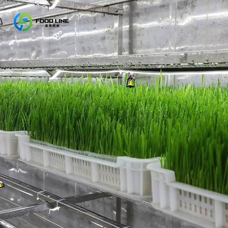 Customized 40HQ Shipping Container Farm Vertical Farming Hydroponic Fodder Plant Factory Farming Container Greenhouse