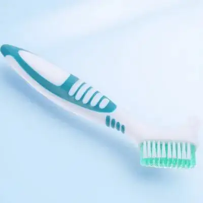 

Brush Clean Turtle Tank Aquarium Aquatic Tortoise Shell Cleaning Tanks and Aquariums for Turtles