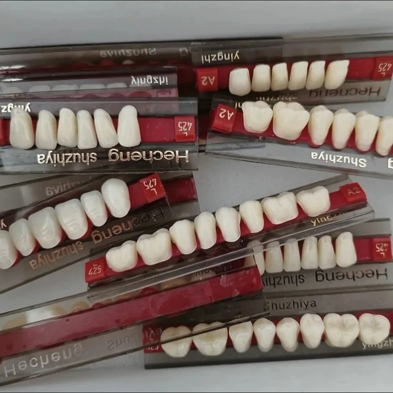 Dental Resin Teeth  Synthetic Resin Teeth Complete Dentures Teeth Dental Technician Denture Materials Laboratory Materials