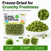 Freeze Dried Cat Treats with Catnip – Chicken Breast Cookies & Catnip Bites for Cat Training Rewards and Daily Snacks 6