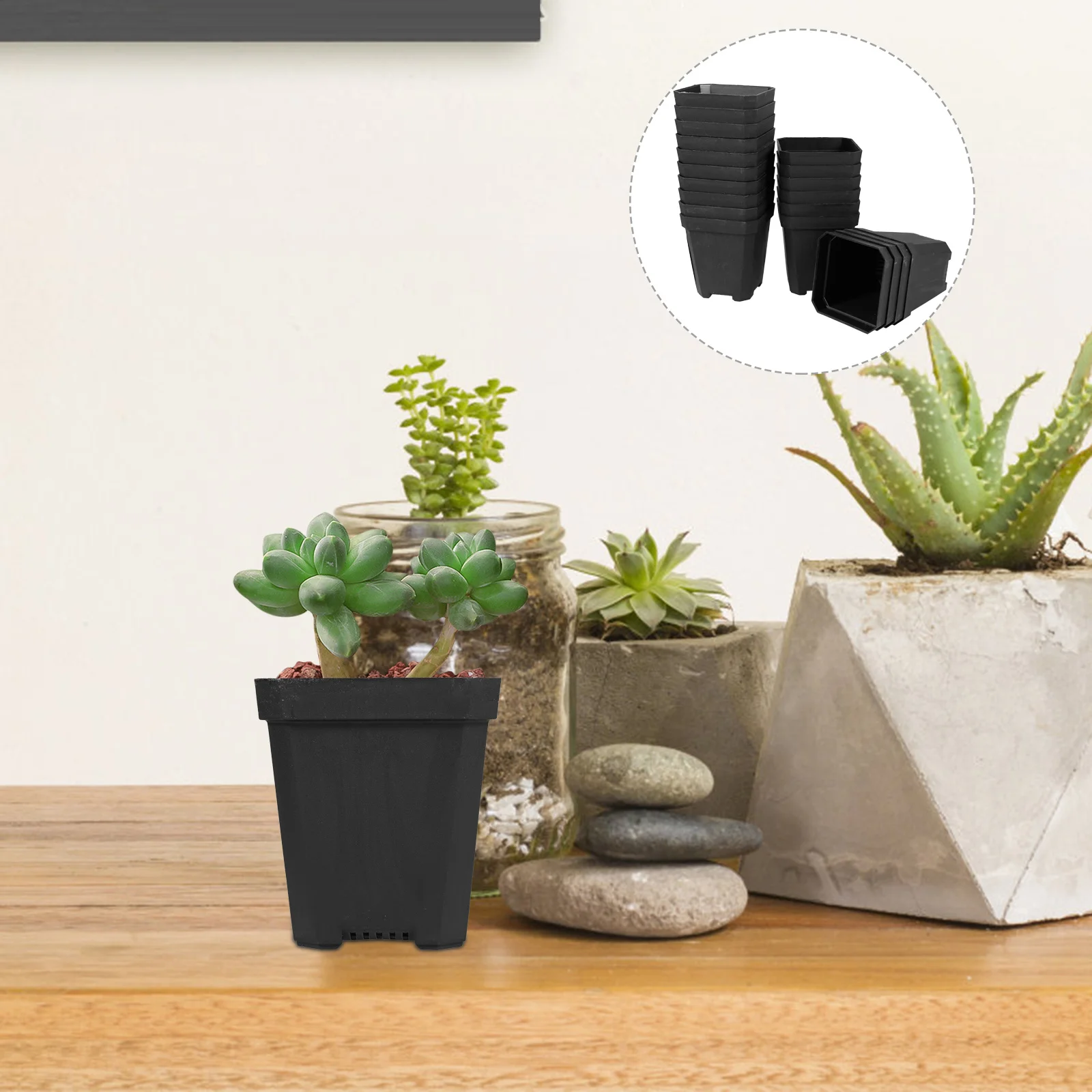 

20Pcs Multi-Use Plastic Plant Pots with Drainage Holes Ideal for Succulents Herbs Indoor Outdoor Gardening Flower Nursery