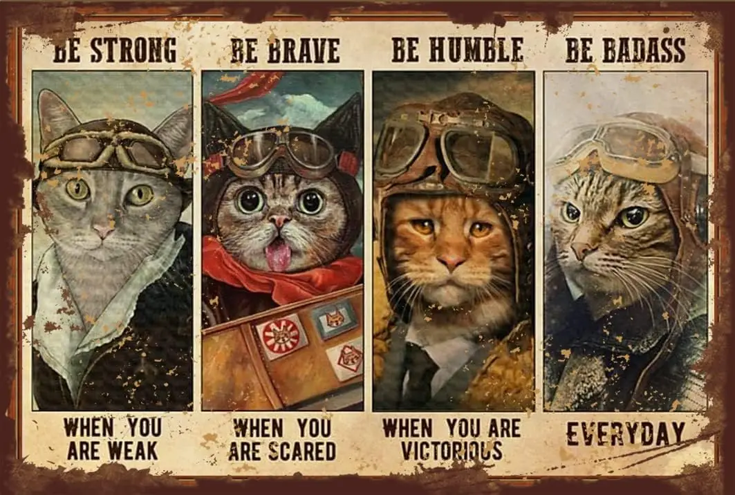 Retro Tabby Cat Pilot Be Strong When You are Weak Be Brave Be Humble Be Badass Wall Decor Funny Gifts for Birthday, Anniversary,