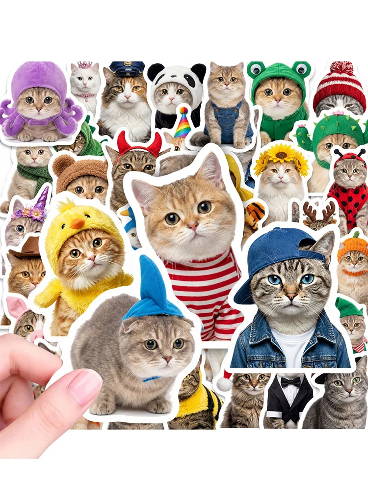 AliExpress NONE 50pcs Cat Funny Sticker Cartoon Cute Decals Toy Guitar Phone Bicycle Laptop Notebook Luggage Car Graffiti Kids Sticker
