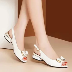 Cresfimix Zapatos De Mujer Women Cute White High Quality Pu Leather Buckle Strap Square Heel Shoes Lady Black Elegant Pump A1165