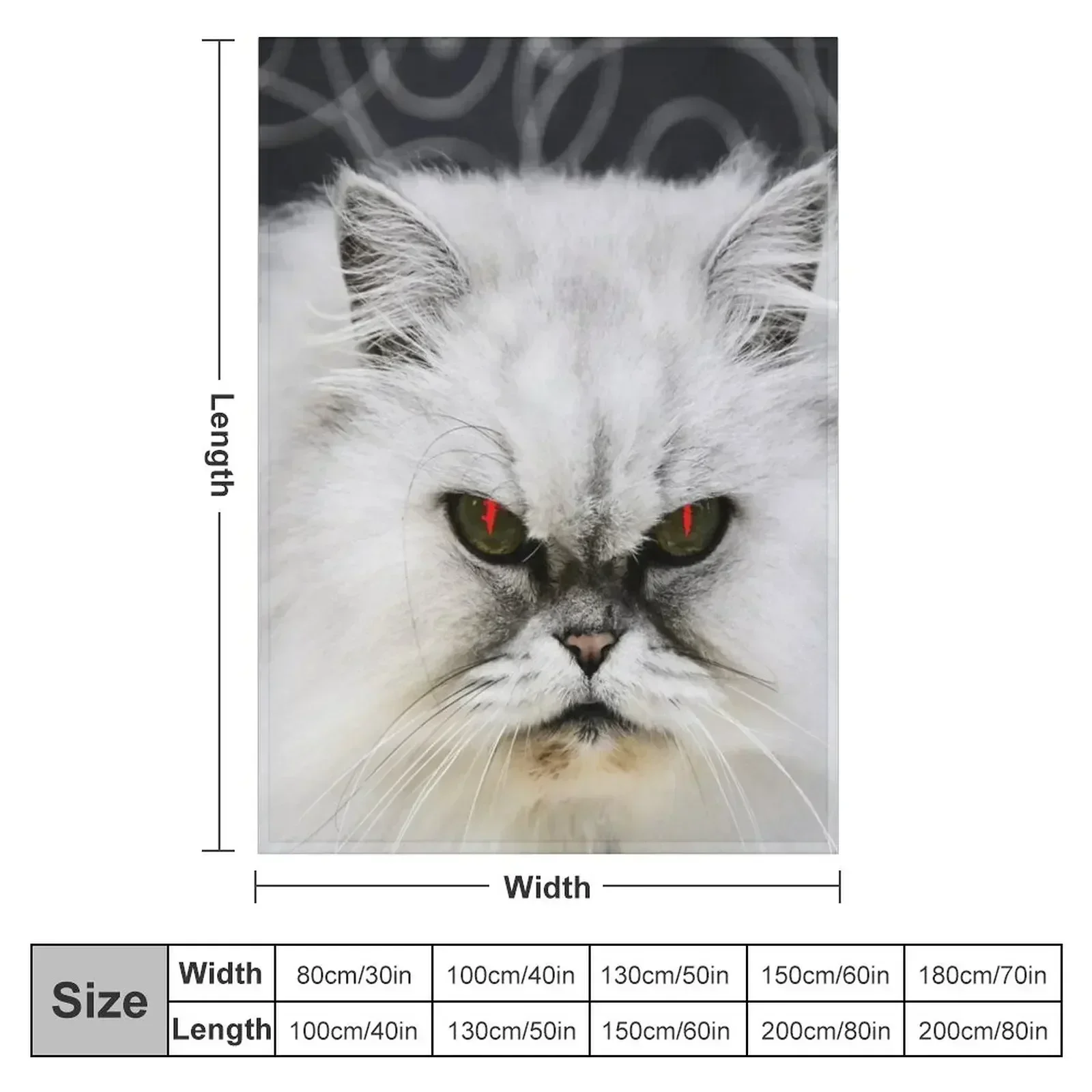Persian cat / Swiss Artwork Photography Throw Blanket couch cozy soft plush fuzzy picnic outdoor blanket