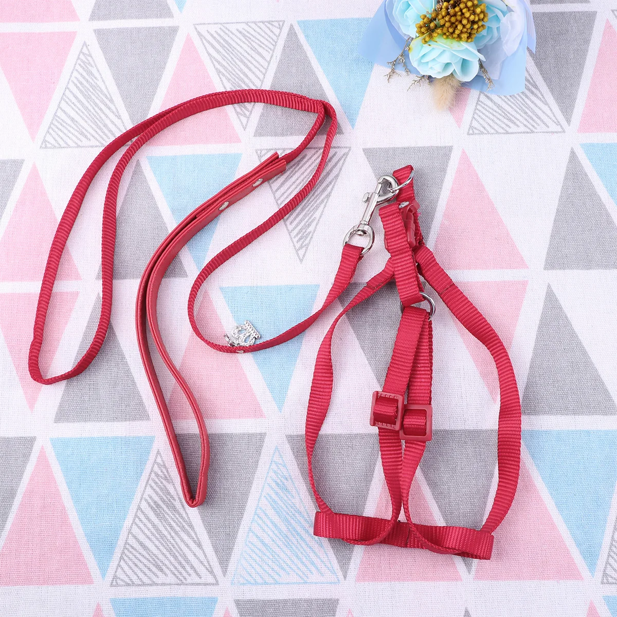

Practical Parrot Leash Harness Durable Hard Material Adjustable Easy Use Walking Training Pet Accessories Bird Collars