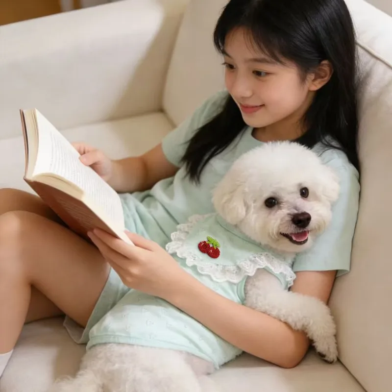 Spitzen-Hundekleidung für kleine Hunde: Atmungsaktive Frühlings-/Sommer-Pullover und niedliche Kirsch-T-Shirts für Welpen