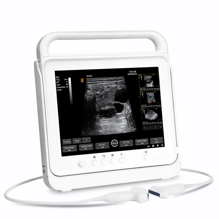 BMV Cheap Animal & Veterinary Ultrasound 15 Inches Touch Screen Medical Device Color Doppler Ultrasound